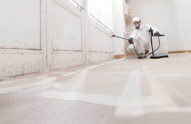 24/7 Emergency Attic Mold Remediation experts in Middletown, KY