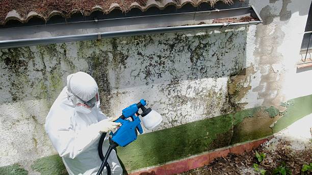 Top rated local Attic Mold Remediation specialists in Middletown, KY